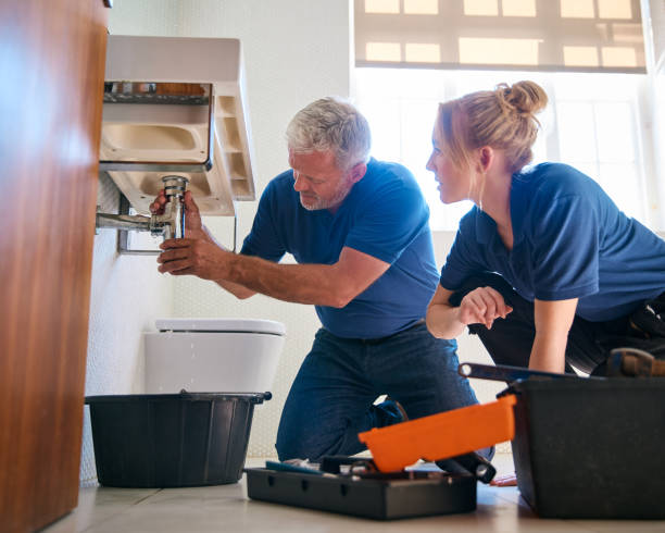 Best Toilet Repair Services  in Blue Ridge, AL